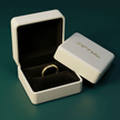 14ct Gold Titanium 2mm Band Ring