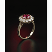 18ct Gold Titanium Steel Ruby Cubic Zirconia Cluster Ring - DP Online
