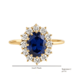 18ct Gold Titanium Steel Sapphire Cubic Zirconia Cluster Ring - DP Online