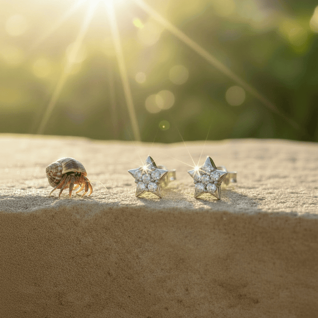 925 Sterling Silver Cubic Zirconia Star Stud Earrings - DP Online