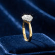 9ct Yellow Gold 1/6 Carat Diamond Dress Ring - DP Online