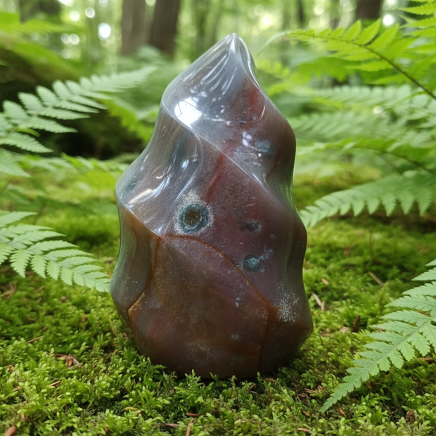 Agate 1 Forest