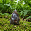 Agate 3 Forest