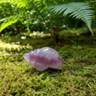 Amethyst Snail 2 Forest