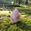 Amethyst Snail 3 Forest Redo