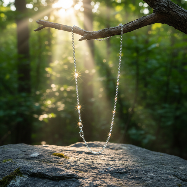 Belcher chain hanging from branch over rock