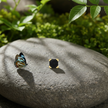 Black gemstone on rock with butterfly