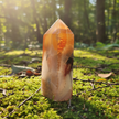 Carnelian Agate 3 Forest