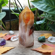 Carnelian Agate 3 Wood