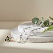 Chain Link on Marble with Greenery and Butterfly