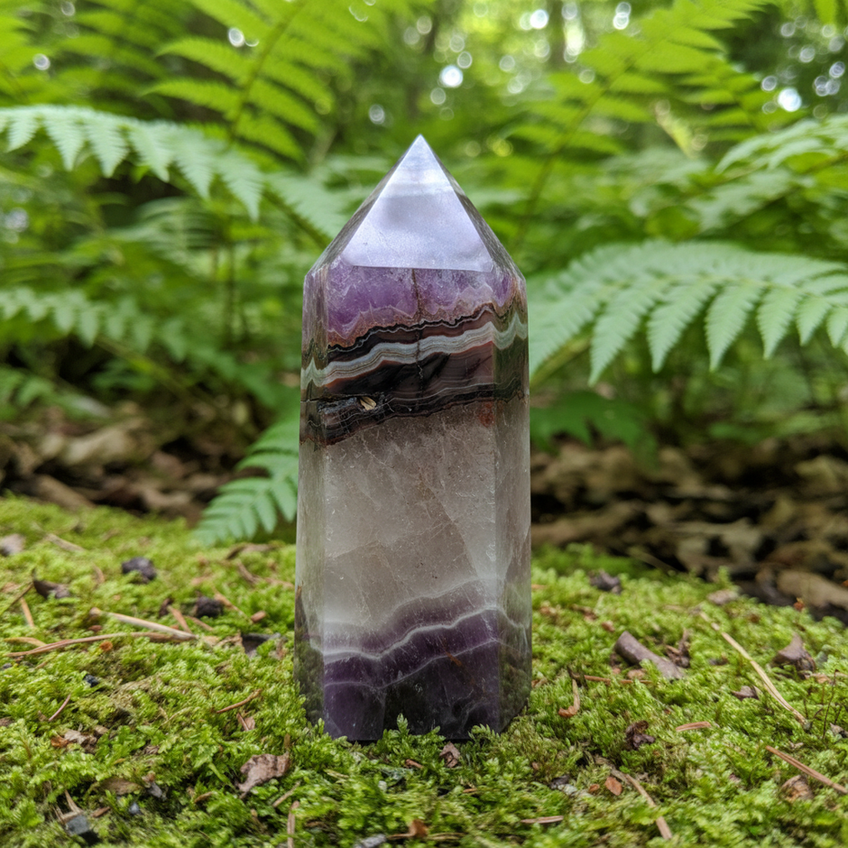Chevron Amethyst 4 Forest