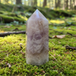Chevron Amethyst 5 Forest