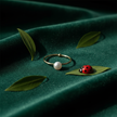 Emerald Velvet with Greenery and Ladybug