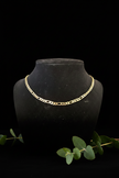 Figaro Chain — Bust