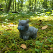 Forest Floor