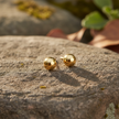 Gold ball earrings on natural rock