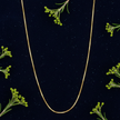 Gold Box Chain - Navy Flat Greenery