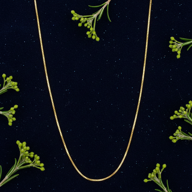 Gold Box Chain - Navy Flat Greenery