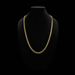Gold Chain Bust V3