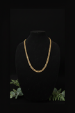 Gold Pattern Link Chain — Bust Display