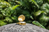 Gold ring on rock with lizard and green background