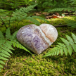 Heart 1 Forest