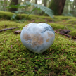 Heart Forest
