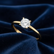 Moissanite Solitaire - Navy Velvet