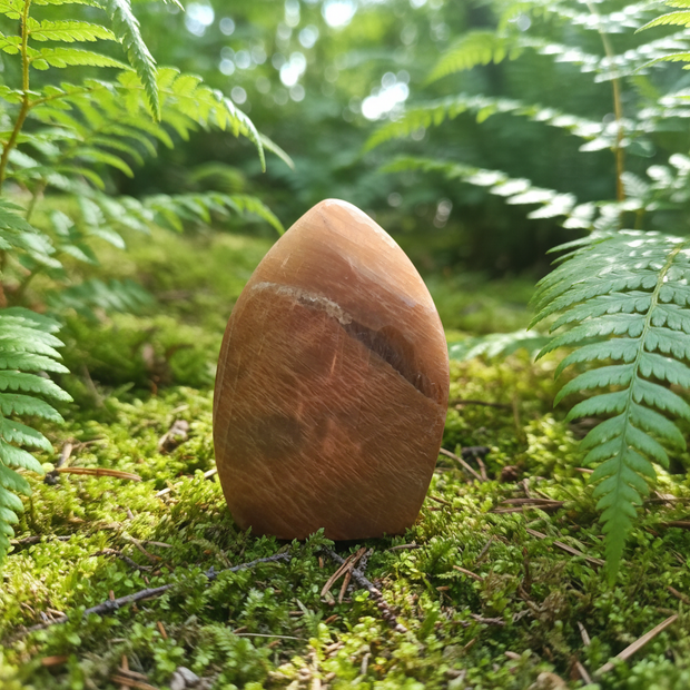 Moonstone Flame 1 Forest