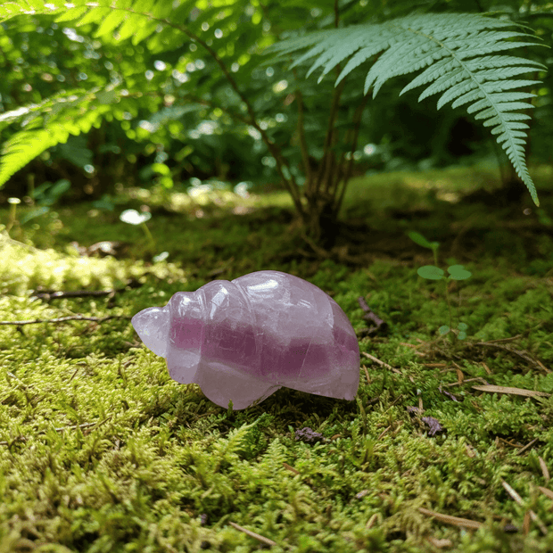 Natural Fluorite Crystal Stone Conch Shell Carving - DP Online