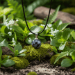 Natural Snowflake Obsidian Stone Orb Pendant Necklace - DP Online