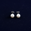 Pearl Stud Earrings V1 Clean