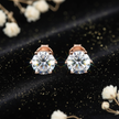 Rose Gold White Moissanite Stud Earrings - V3