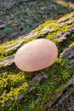 Rose Quartz Palm Stone - Image 1