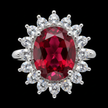 Ruby Halo Ring - Macro Close-up
