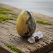 Septarian Egg 2 Wood