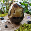 Septarian Egg 3 Wood