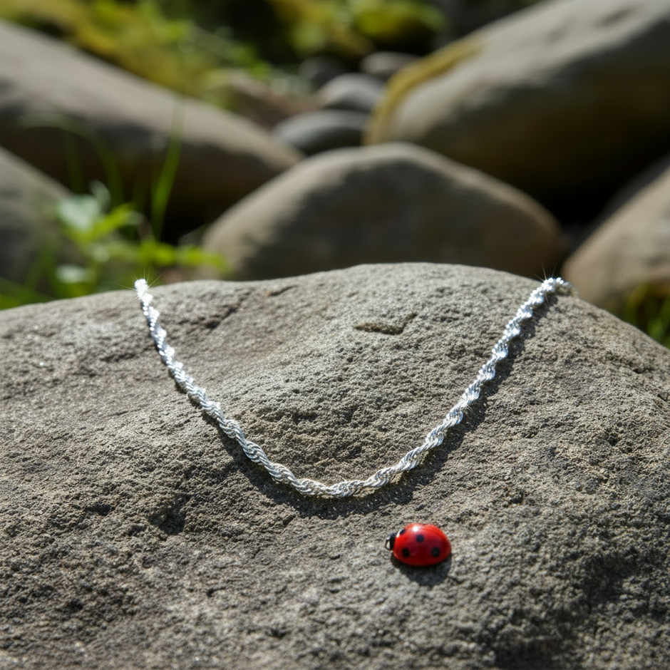 Silver chain on rock with ladybug at top