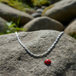 Silver chain on rock with ladybug at top