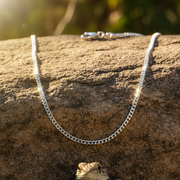 Silver curb chain with sparkle on rock