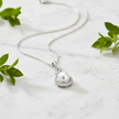 Silver Dust + Greenery + Dew
