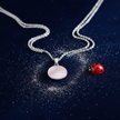 Silver Dust + Ladybug Navy Velvet
