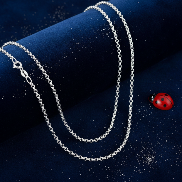 Silver Dust + Ladybug