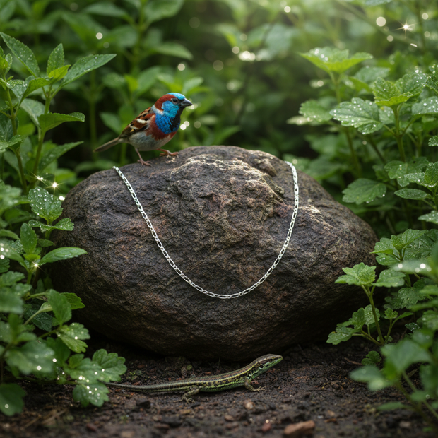 Single chain only with sparrow and lizard