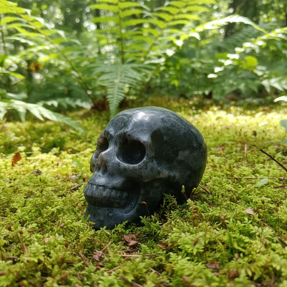 Skull 1 Forest