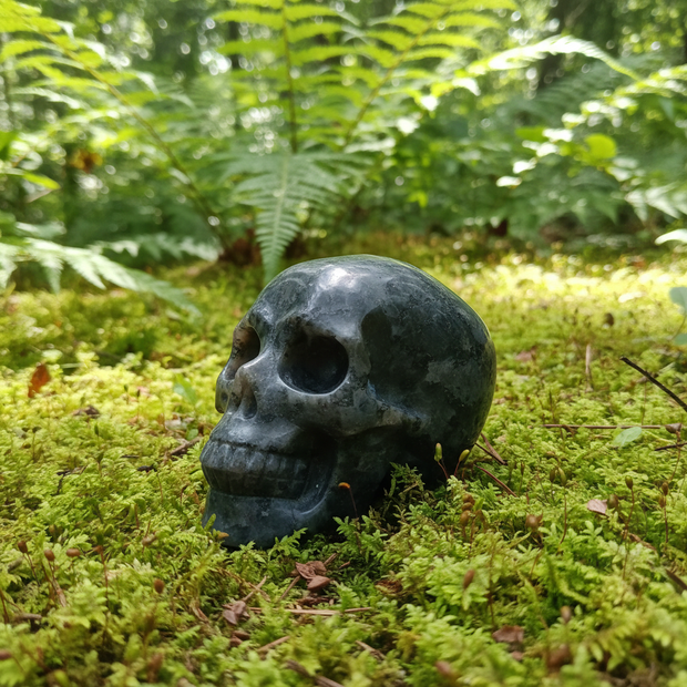 Skull 1 Forest