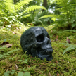 Skull 2 Forest