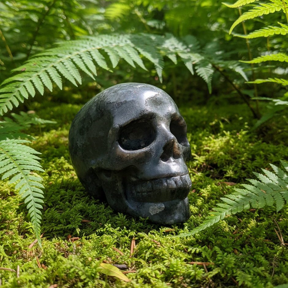Skull 3 Forest