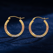 Tri-Colour Hoop Earrings V1