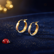 Tri-Colour Hoop Earrings V3